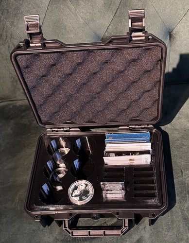 Hard carry bullion case - hard,