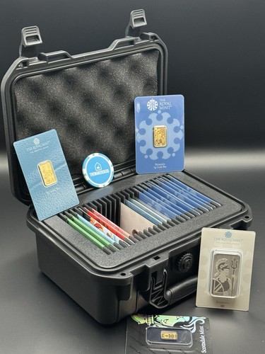 Rugged bullion case 25 - rugged, –